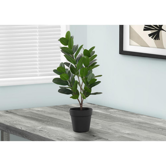 28" Garcinia Tree