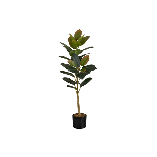 40" Rubber Tree