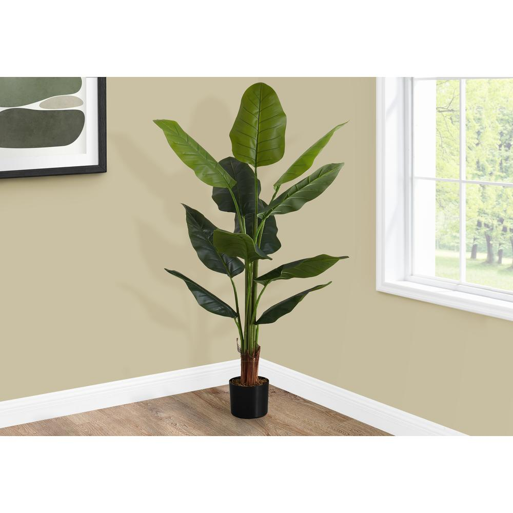 59" Strelitzia Tree